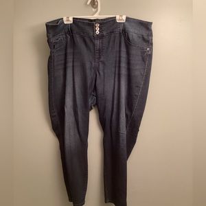 Torrid Skinny Jeans